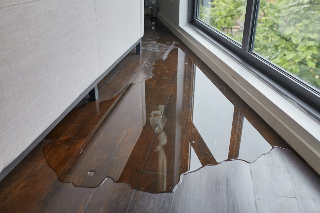 How to Deal with Flood Damage | Bow Family Furniture & Flooring